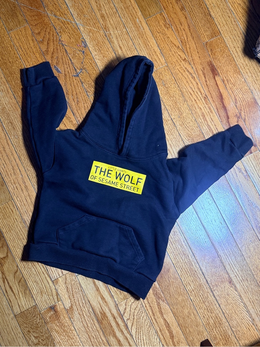 Kids Black Hoodie with 'The Wolf of Sesame Street' Graphic